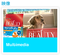 multimedia